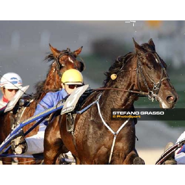 close up for Infinitif and Jean Pierre Dubois during the heat of Gran Premio U.E.T Milan, 16th nov. 2008 ph. Stefano Grasso