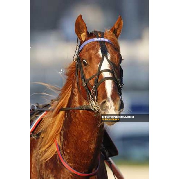 close up for Quest for Gold Milan, 16th nov. 2008 ph. Stefano Grasso