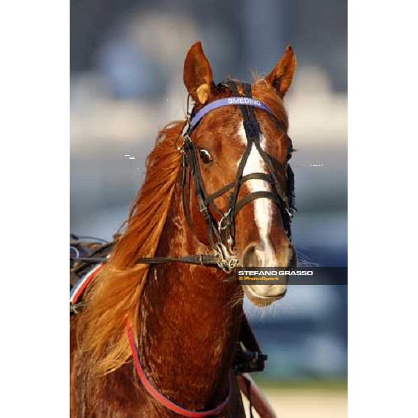 close up for Quest for Gold Milan, 16th nov. 2008 ph. Stefano Grasso
