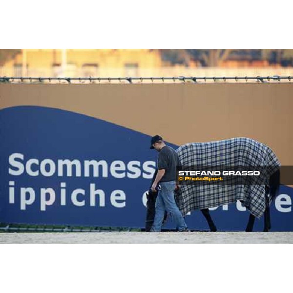 Infinitif at San Siro after the race Milan, 16th nov. 2008 ph. Stefano Grasso