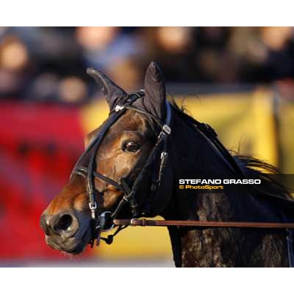 close up for Passionate Kemp during warming up Montegiorgio (AP), 23rd nov. 2008 ph. Stefano Grasso