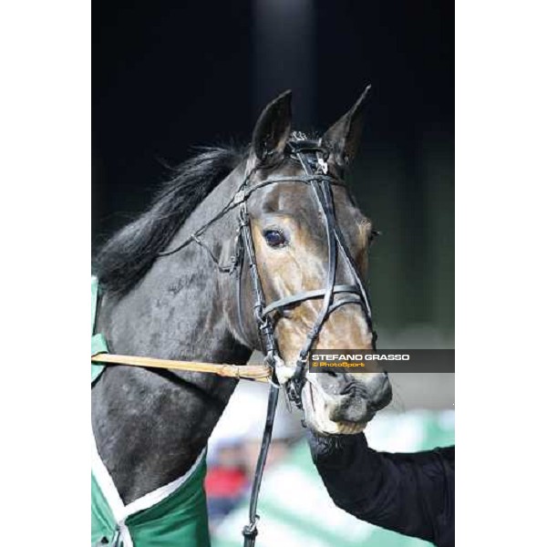a close up for Passionate Kemp before the start of the final of 20¡ Palio dei Comuni Montegiorgio (AP), 23rd nov. 2008 ph. Stefano Grasso