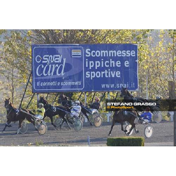 horse prepare for the start at Montegiorgio racetrack Montegiorgio (AP), 23rd nov. 2008 ph. Stefano Grasso 