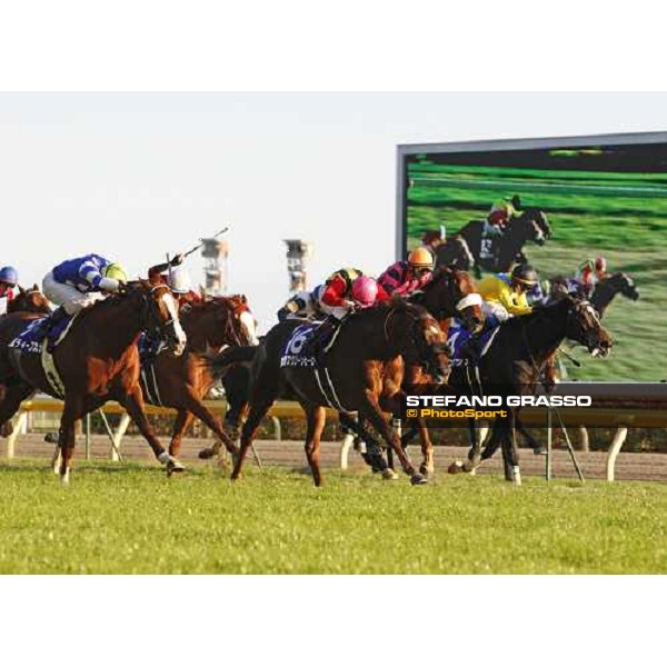 Mirco Demuro on Screen Hero goes to win the Japan Cup at Fuchu racecourse beating Deep Sky and Vodka Tokyo, 30th nov. 2008 ph. Stefano Grasso
