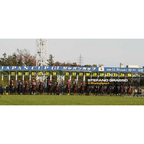 the start of the 28.¡ Japan Cup at Fuchu racecourse Tokyo, 30th nov. 2008 ph. Stefano Grasso