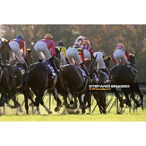 the horses pass the first bend after the start - Mirco Demuro on Screen Hero is in the middle of the group Tokyo, 30th nov. 2008 ph. Stefano Grasso
