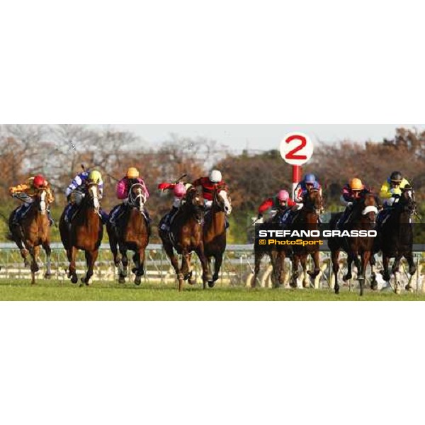 the horses at last 200 furlongs. from left Purple Moon, Deep Sky, Asakusa King, Screen Hero - winner, Oken Bruce Lee, Cosmo Bulk, Toho Alan, Matsurida Gogh and Vodka Tokyo, 30th nov. 2008 ph. Stefano Grasso