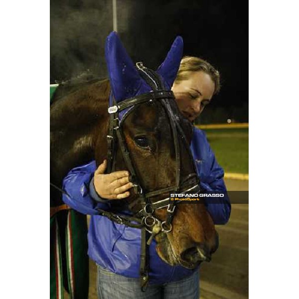 a close up for Mania winner of the Gran Premio Allevatori Rome, 8th december 2008 ph. Stefano Grasso