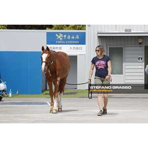 LGCT of Shanghai - Firth of Lorne - Shanghai, Shanghai Expo - 2 May 2019 - ph.Stefano Grasso/LGCT