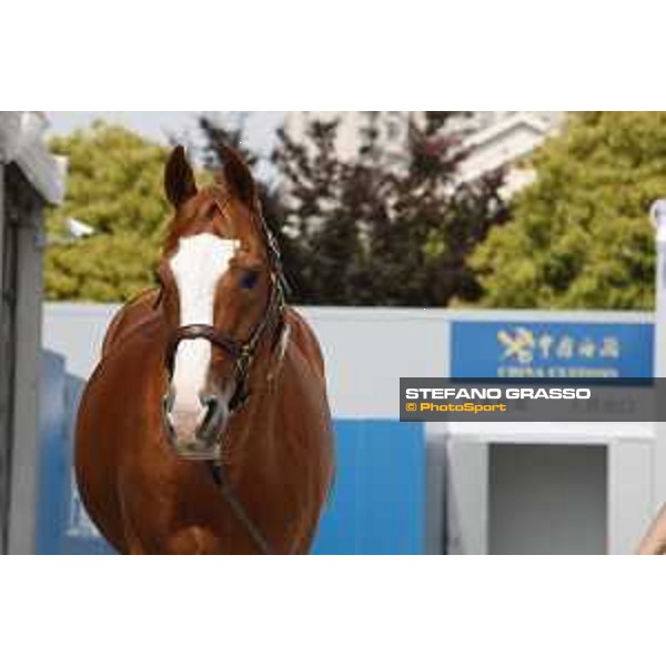 LGCT of Shanghai - Firth of Lorne - Shanghai, Shanghai Expo - 2 May 2019 - ph.Stefano Grasso/LGCT