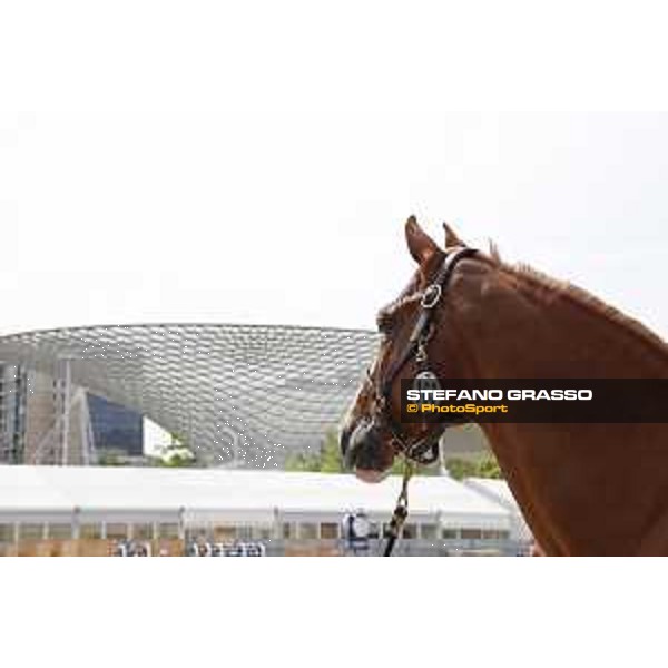 LGCT of Shanghai - Firth of Lorne - Shanghai, Shanghai Expo - 2 May 2019 - ph.Stefano Grasso/LGCT