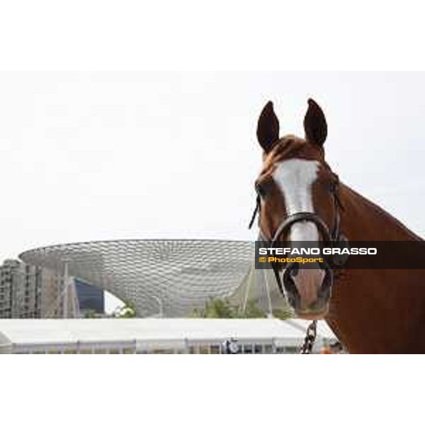 LGCT of Shanghai - Firth of Lorne - Shanghai, Shanghai Expo - 2 May 2019 - ph.Stefano Grasso/LGCT