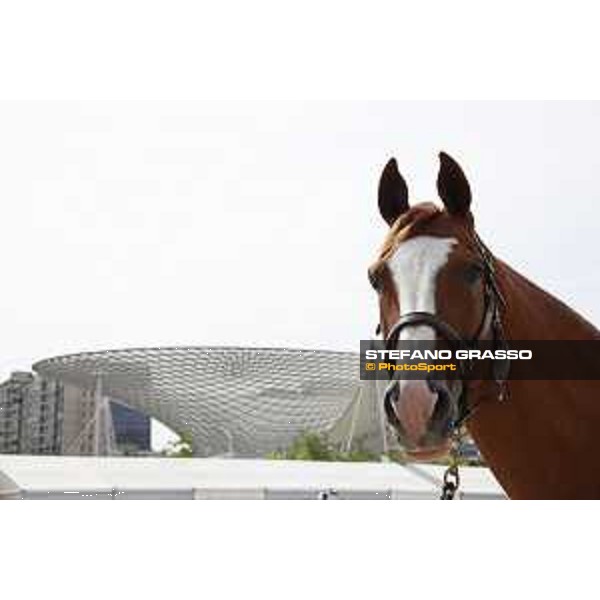 LGCT of Shanghai - Firth of Lorne - Shanghai, Shanghai Expo - 2 May 2019 - ph.Stefano Grasso/LGCT