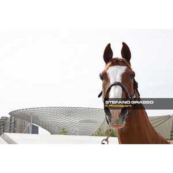LGCT of Shanghai - Firth of Lorne - Shanghai, Shanghai Expo - 2 May 2019 - ph.Stefano Grasso/LGCT
