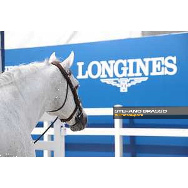 LGCT of Shanghai - Garfield de Tiji Des Templiers - Shanghai, Shanghai Expo - 2 May 2019 - ph.Stefano Grasso/LGCT