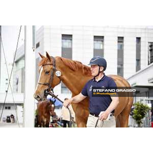 LGCT of Shanghai - Roger Yves Bost and Vino d\'Espinet - Shanghai, Shanghai Expo - 2 May 2019 - ph.Stefano Grasso/LGCT