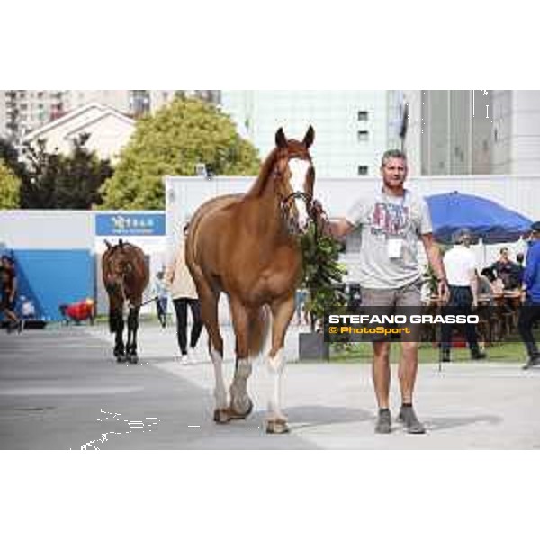 LGCT of Shanghai - Apart - Shanghai, Shanghai Expo - 2 May 2019 - ph.Stefano Grasso/LGCT