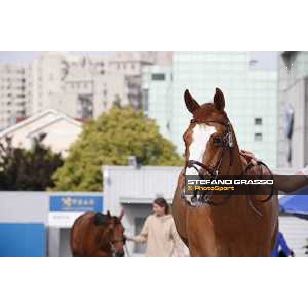 LGCT of Shanghai - Apart - Shanghai, Shanghai Expo - 2 May 2019 - ph.Stefano Grasso/LGCT