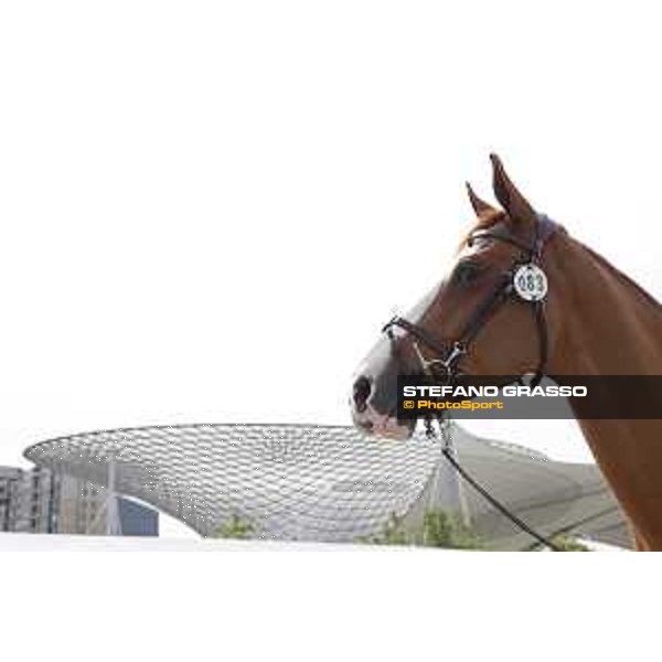 LGCT of Shanghai - Apart - Shanghai, Shanghai Expo - 2 May 2019 - ph.Stefano Grasso/LGCT