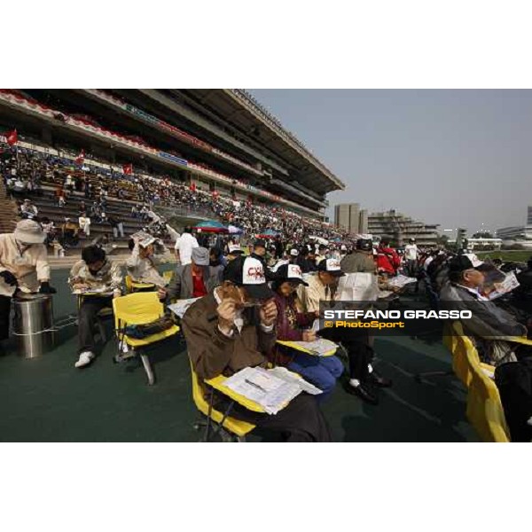 a day at the Cathay Pacific Hong Kong International races Hong Kong - Sha Tin racecourse, 15th dec. 2008 ph. Stefano Grasso