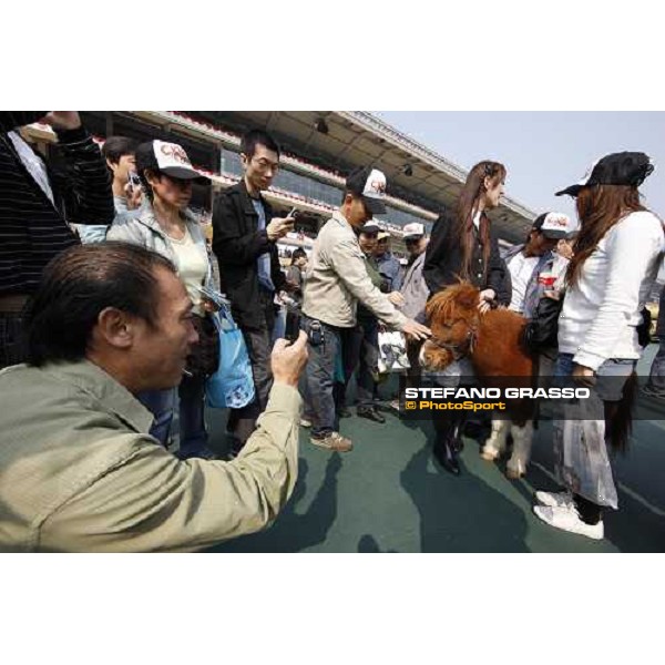 a day at the Cathay Pacific Hong Kong International races Hong Kong - Sha Tin racecourse, 15th dec. 2008 ph. Stefano Grasso