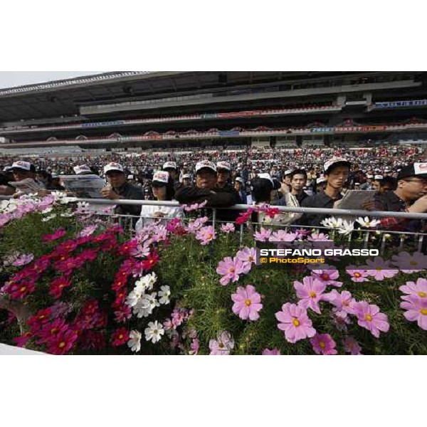 a day at the Cathay Pacific Hong Kong International races Hong Kong - Sha Tin racecourse, 15th dec. 2008 ph. Stefano Grasso