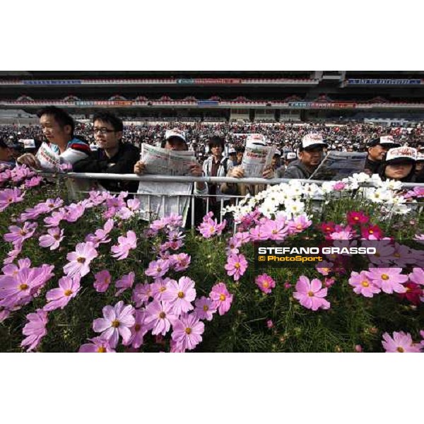 a day at the Cathay Pacific Hong Kong International races Hong Kong - Sha Tin racecourse, 15th dec. 2008 ph. Stefano Grasso