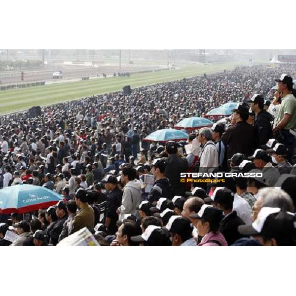 a day at the Cathay Pacific Hong Kong International races Hong Kong - Sha Tin racecourse, 15th dec. 2008 ph. Stefano Grasso