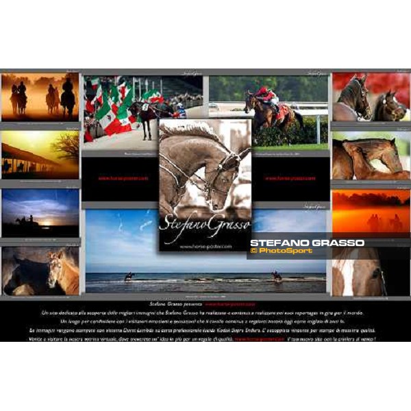 www.horse-poster.com - ph. Stefano Grasso - all rights reserved