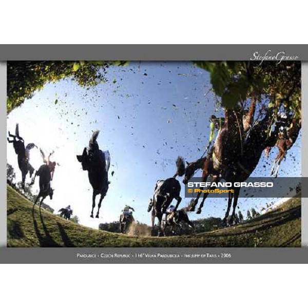 www.horse-poster.com - ph.Stefano Grasso - All rights reserved