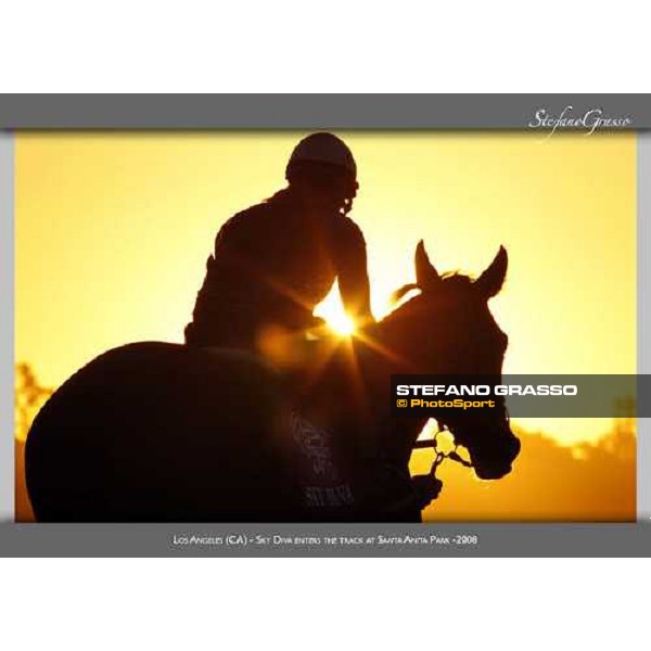 www.horse-poster.com - ph.Stefano Grasso - All rights reserved