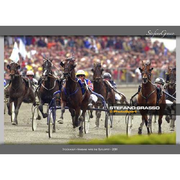 www.horse-poster.com - ph.Stefano Grasso - All rights reserved