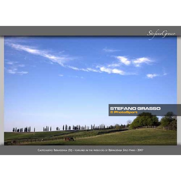 www.horse-poster.com - ph.Stefano Grasso - All rights reserved