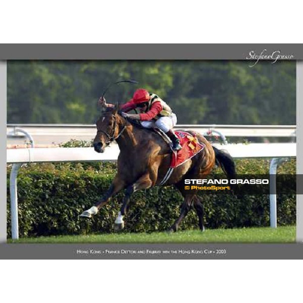 www.horse-poster.com - ph.Stefano Grasso - All rights reserved