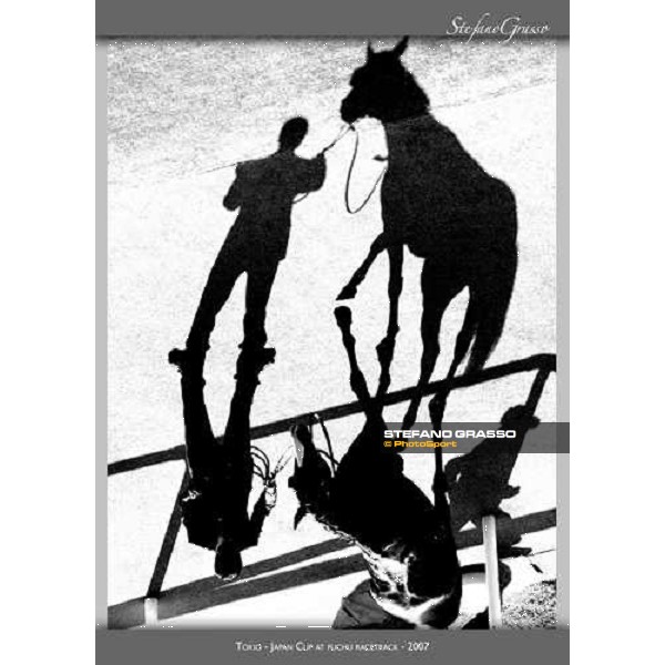 www.horse-poster.com - ph.Stefano Grasso - All rights reserved