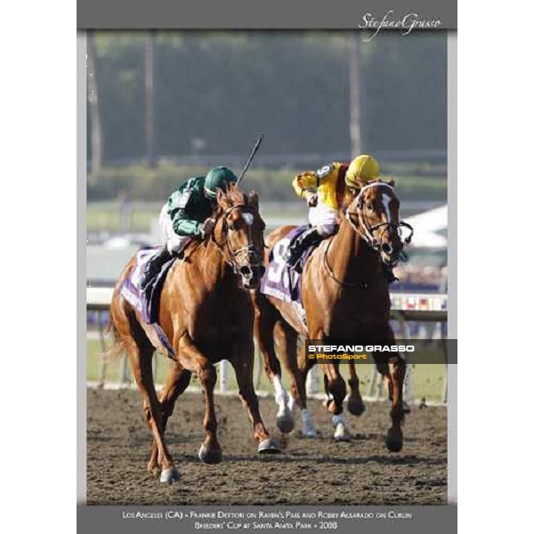 www.horse-poster.com - ph.Stefano Grasso - All rights reserved