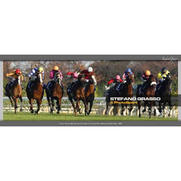 www.horse-poster.com - ph.Stefano Grasso - All rights reserved