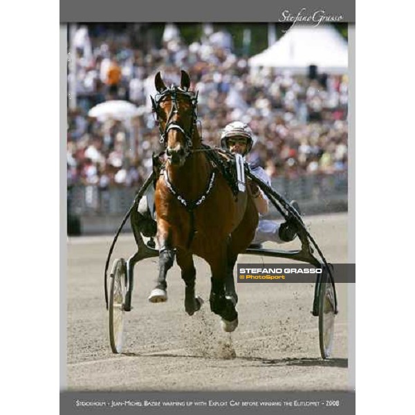 www.horse-poster.com - ph.Stefano Grasso - All rights reserved