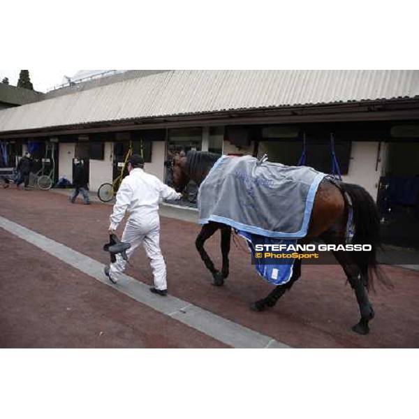 Orlando Sport comes back to the stable after winning the Prix du Luxembourg Paris - Vincennes, 24th january 2009 ph. Stefano Grasso