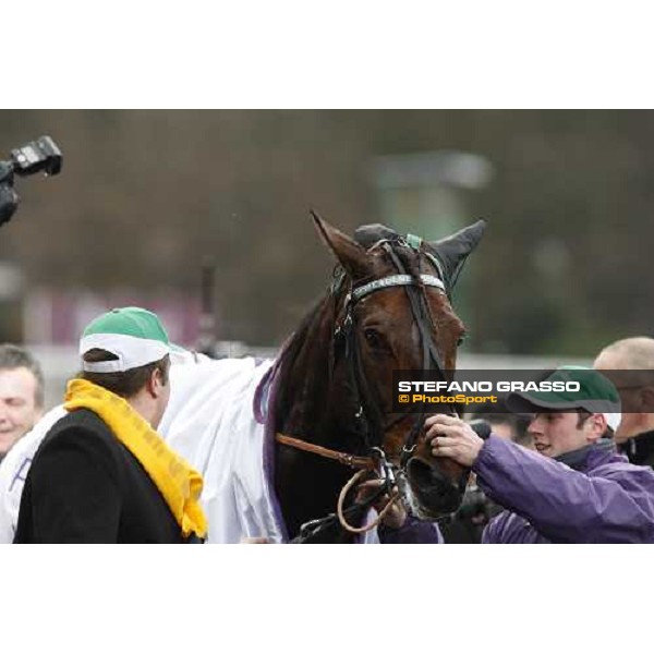 a close up for Meaulnes du Corta parading after winning the Prix d\' Amerique 2009 Paris-Vincennes, 25th january 2009 ph. Stefano Grasso