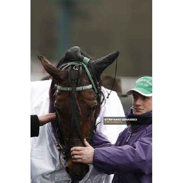 a close up for Meaulnes di Corta after the finish of Prix d\' Amerique Paris-Vincennes, 25th january 2009 ph. Stefano Grasso