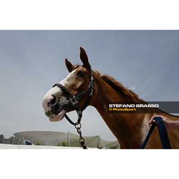 LGCT of Shanghai - Apart - Shanghai, Shanghai Expo - 5 May 2019 - ph.Stefano Grasso/LGCT