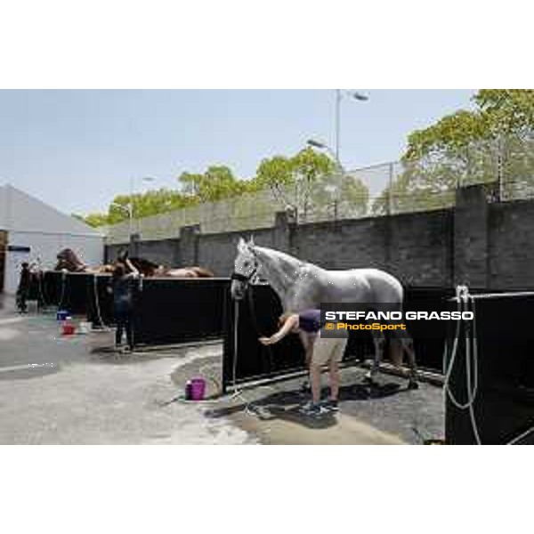 LGCT of Shanghai - horses shower Shanghai, Shanghai Expo - 5 May 2019 - ph.Stefano Grasso/LGCT