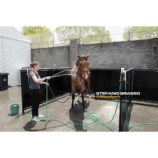 LGCT of Shanghai - horses shower Shanghai, Shanghai Expo - 5 May 2019 - ph.Stefano Grasso/LGCT