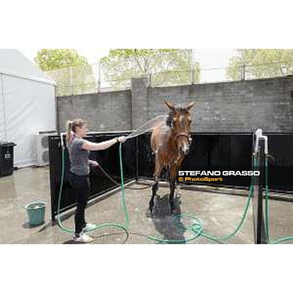 LGCT of Shanghai - horses shower Shanghai, Shanghai Expo - 5 May 2019 - ph.Stefano Grasso/LGCT