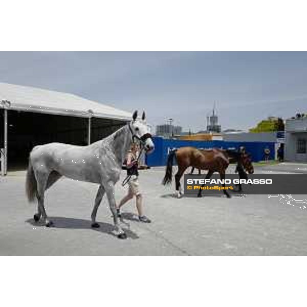 LGCT of Shanghai - Stable area Shanghai, Shanghai Expo - 5 May 2019 - ph.Stefano Grasso/LGCT