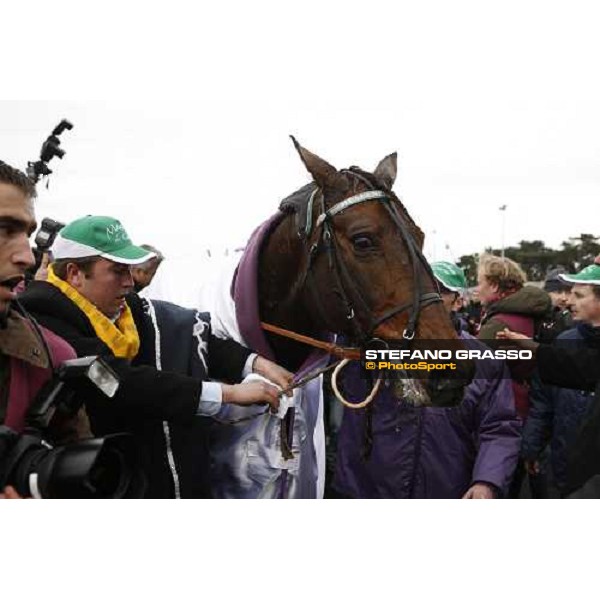 a close up for Meaulnes du Corta parading after winning the Prix d\' Amerique 2009 Paris-Vincennes, 25th january 2009 ph. Stefano Grasso
