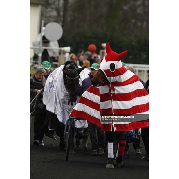 Meaulnes du Corta parade after winning the Prix d\' Amerique 2009 Paris-Vincennes, 25th january 2009 ph. Stefano Grasso