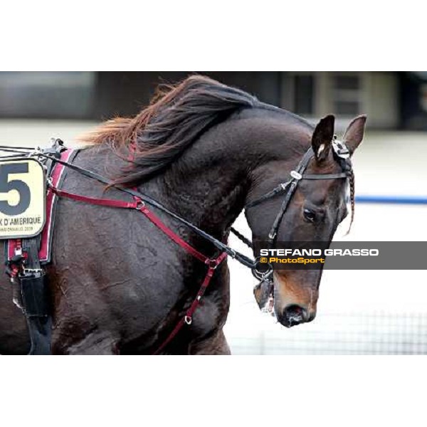 a close up for Giuseppe Bi warming up at Vincennes Paris-Vincennenes, 25th january 2009 ph. Stefano Grasso