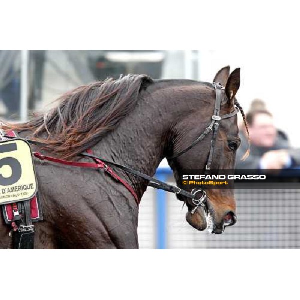 a close up for Giuseppe Bi warming up at Vincennes Paris-Vincennenes, 25th january 2009 ph. Stefano Grasso